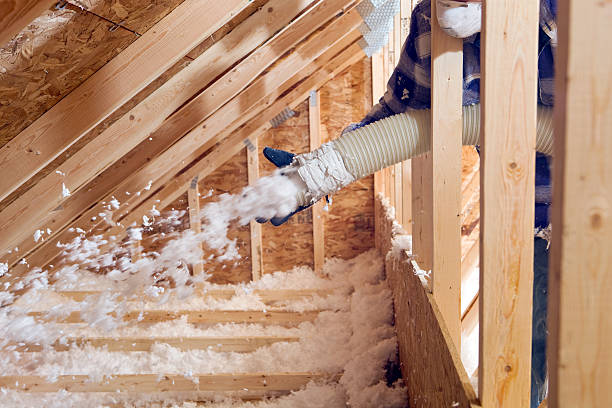 Professional Insulation Services in Goose Creek Village, VA